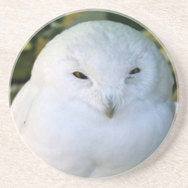 Dessous De Verre En Grès Hibou des neiges (Devant)