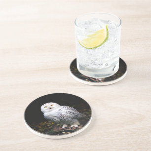 Dessous De Verre En Grès Hibou des neiges majestueux d'hiver