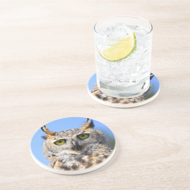 Dessous De Verre En Grès Hibou grand duc drôle surpris beau (Côté)