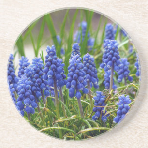 Dessous De Verre En Grès Hyacinthe de raisin