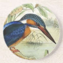 Illustration vintage d'oiseau de martin-pêcheur