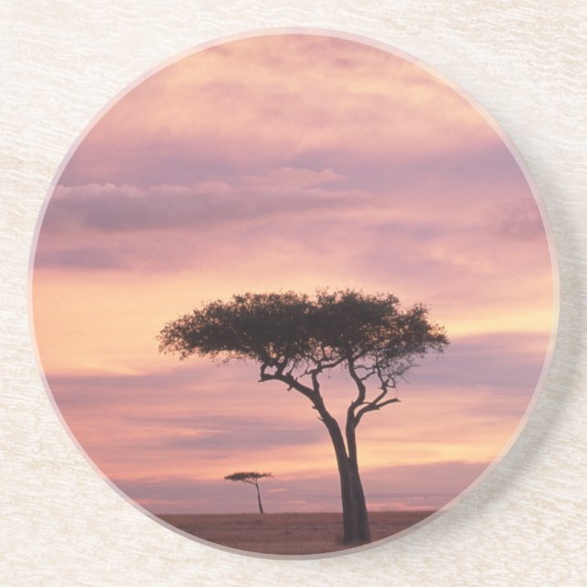 Dessous De Verre En Grès Image de la silhouette d'un arbre acacia au lever  (Devant)