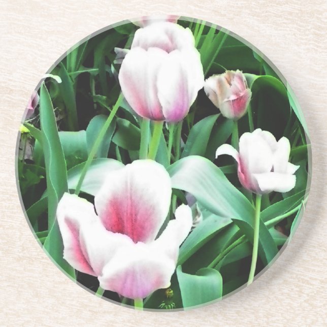 Dessous De Verre En Grès Image des tulipes roses (Devant)