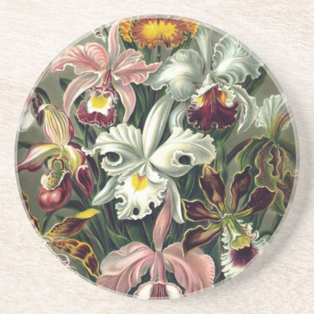 Dessous De Verre En Grès Impression botanique des orchidées (Devant)