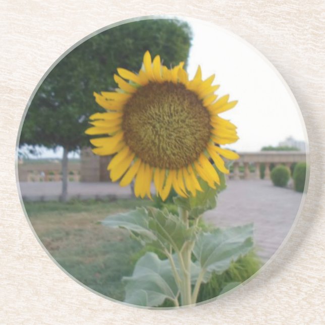 Dessous De Verre En Grès Impression d'art Tournesol (Devant)