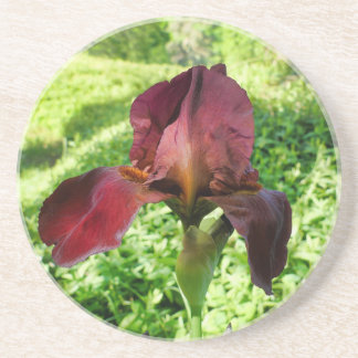 Dessous De Verre En Grès Iris à poils