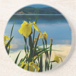 Dessous De Verre En Grès Iris jaune à Lake Shore