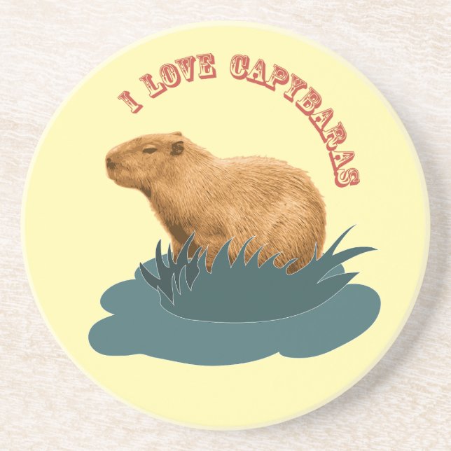 Dessous De Verre En Grès J'adore les capybaras Amoureux de capybara mignon (Devant)