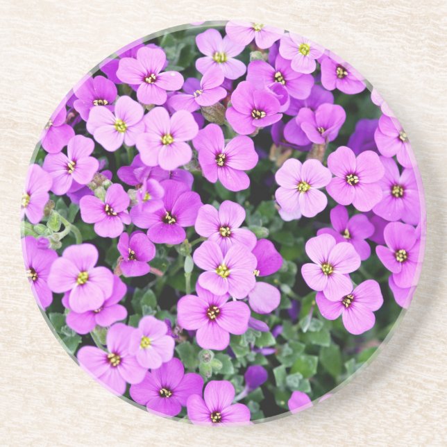 Dessous De Verre En Grès Jardin aux fleurs violettes (Devant)