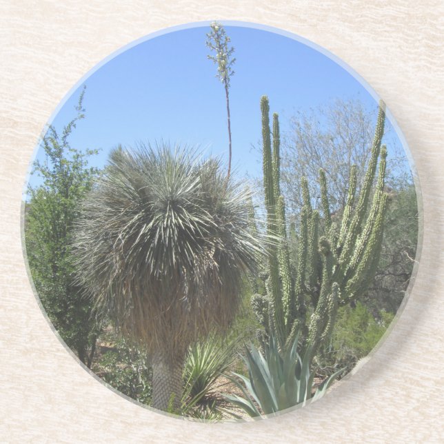 Dessous De Verre En Grès Jardin de Cactus (Devant)