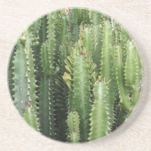 Dessous De Verre En Grès Jardin de cactus