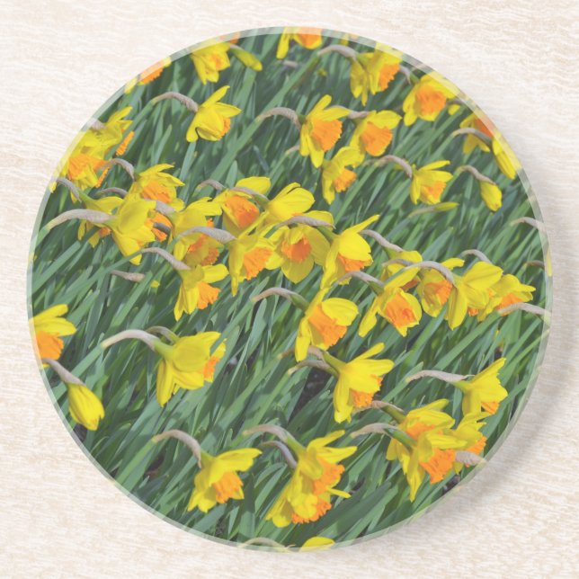 Dessous De Verre En Grès Jardin de la jonquille jaune vif (Devant)