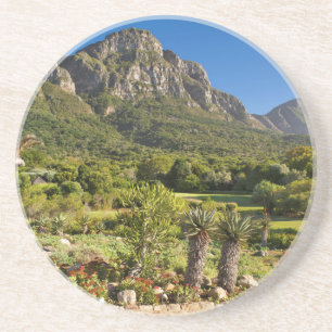 Dessous De Verre En Grès Jardins botaniques de Kirstenbosch, Cap
