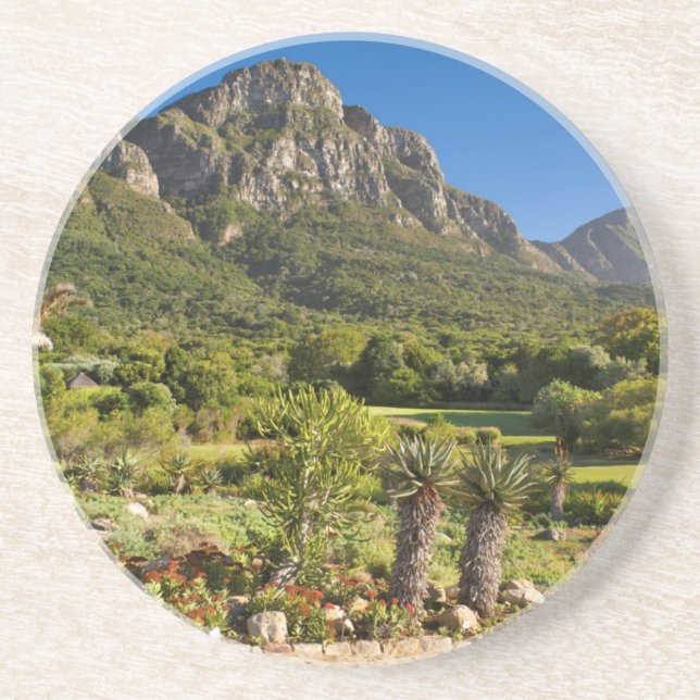 Dessous De Verre En Grès Jardins botaniques de Kirstenbosch, Le Cap (Devant)