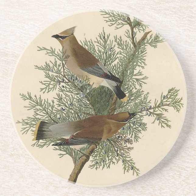 Dessous De Verre En Grès Jaseur d'Audubon (Devant)