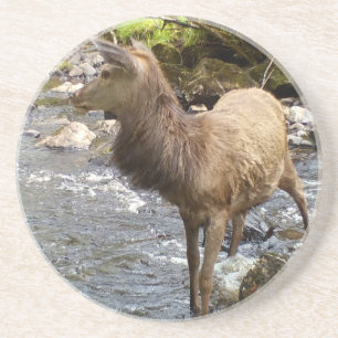 Dessous De Verre En Grès Jeune Cerf Élégant Scène de Rivière en Forêt