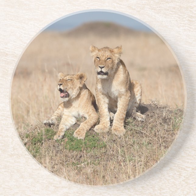 Dessous De Verre En Grès Jeunes lions (Devant)