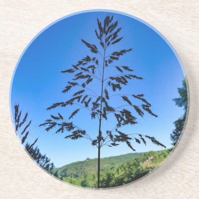 Dessous De Verre En Grès Johnson Grass (Devant)