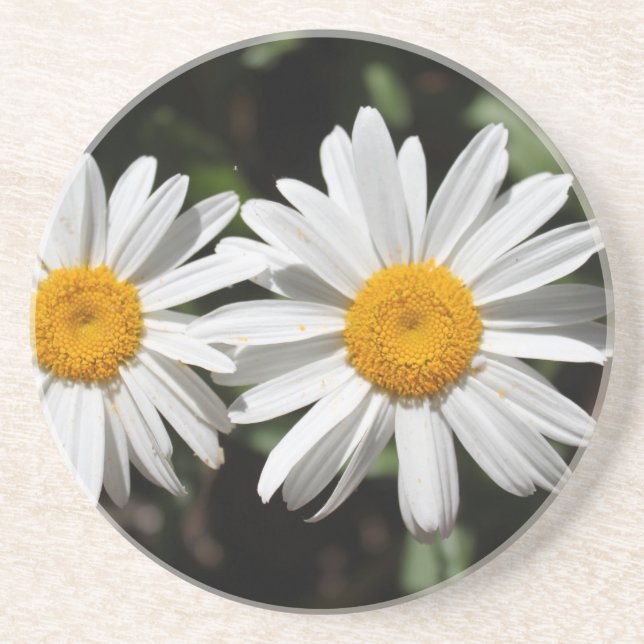 Dessous De Verre En Grès Joli blanc fleur marguerite (Devant)