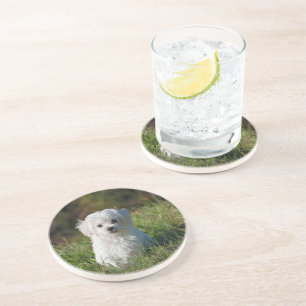 Dessous De Verre En Grès Joli chiot blanc