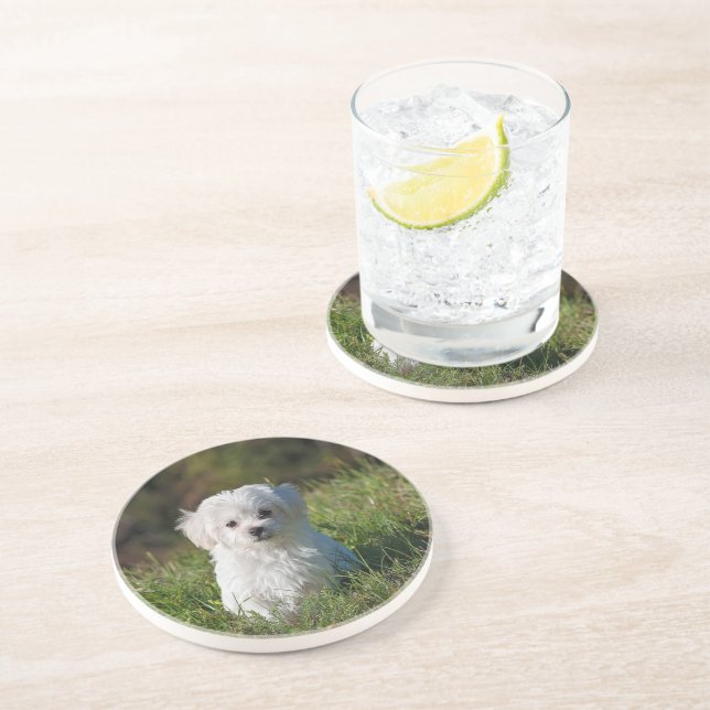 Dessous De Verre En Grès Joli chiot blanc (Côté)