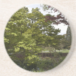 Dessous De Verre En Grès Joli jardin botanique.