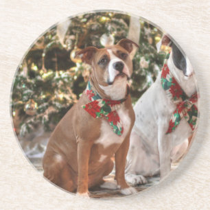 Dessous De Verre En Grès Joli Secourt de Noël Pitbull et America Bull Dog