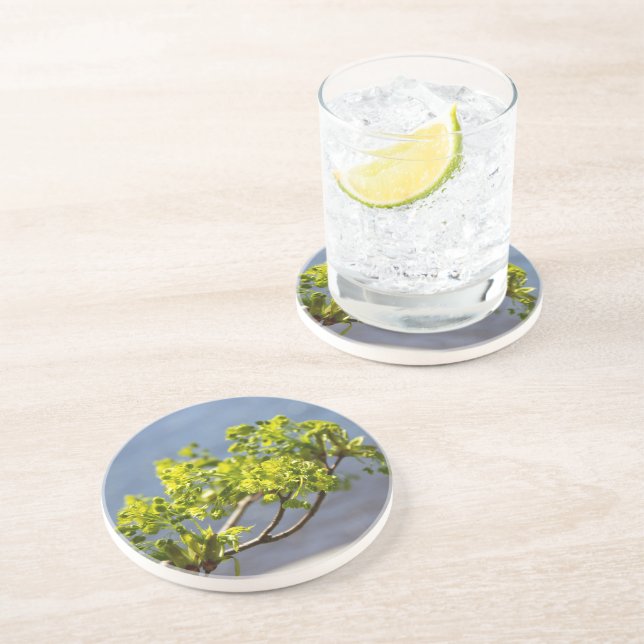 Dessous De Verre En Grès Jolie branche verte dans le vent (Côté)