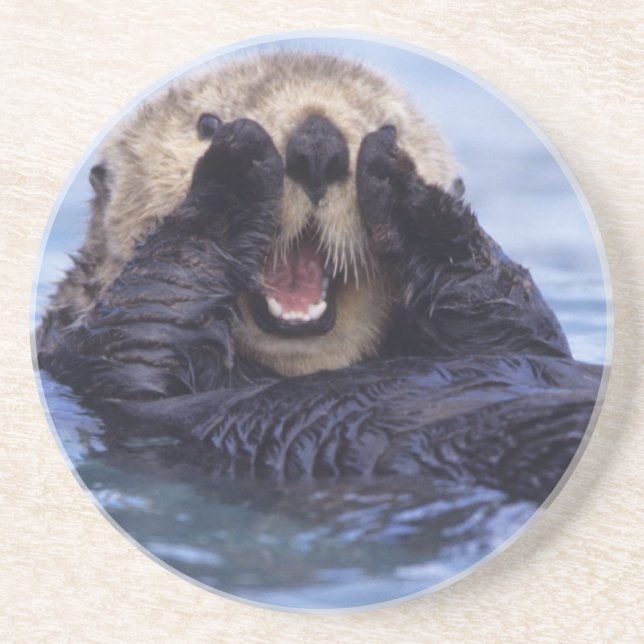 Dessous De Verre En Grès Jolie loutre de mer | Alaska, États-Unis (Devant)