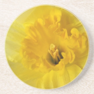Dessous De Verre En Grès jonquille jaune