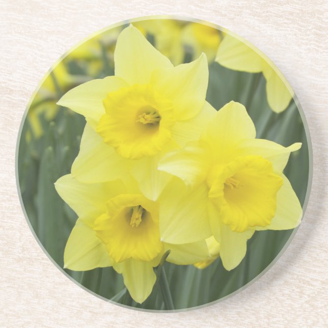 Dessous De Verre En Grès Jonquilles RF) (Devant)