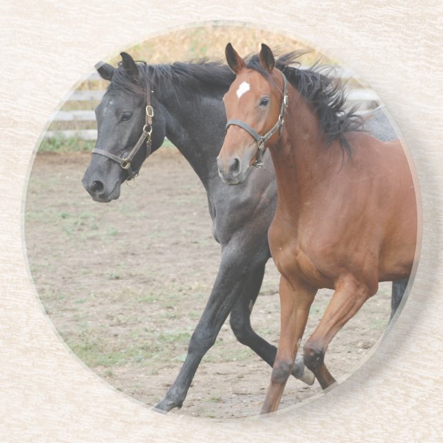 Dessous De Verre En Grès Jouer au cheval (Devant)
