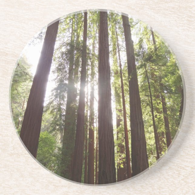 Dessous De Verre En Grès Jusqu'aux séquoias du matin (Devant)