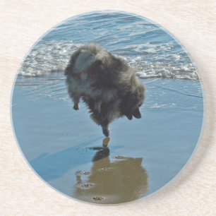Dessous De Verre En Grès Keeshond Ballet Photographie - Joli chien d'origin