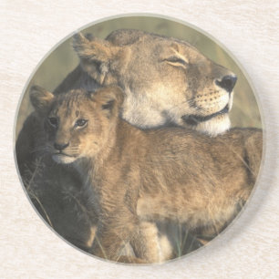 Dessous De Verre En Grès Kenya, réserve de gibier Masai Mara, lionne