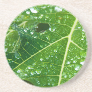Dessous De Verre En Grès La pluie tombe sur la feuille de Papaya vert tropi