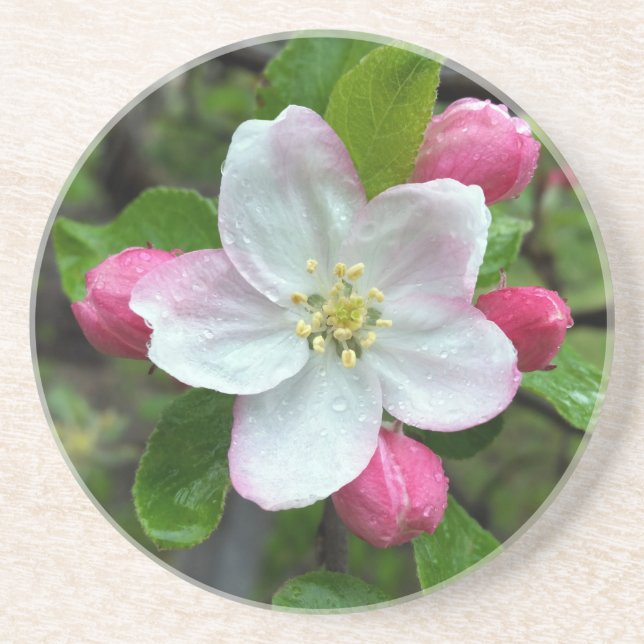 Dessous De Verre En Grès La pluie tombe sur une petite fleur (Devant)