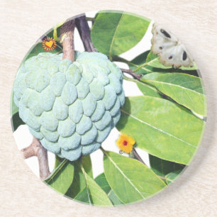 Dessous De Verre En Grès La pomme-cannelle - Verre à shot