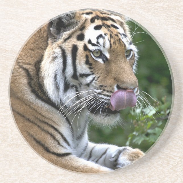 Dessous De Verre En Grès Langue du tigre (Devant)