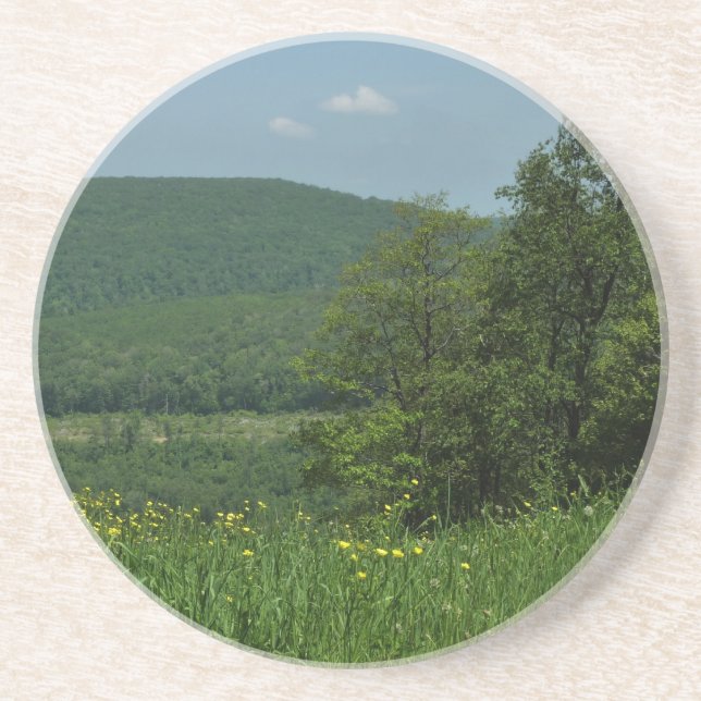 Dessous De Verre En Grès Laurel Highlands Pennsylvanie Photographie d'été (Devant)