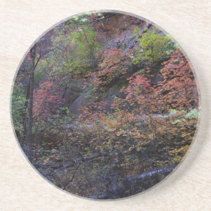Dessous De Verre En Grès L'automne à Sedona