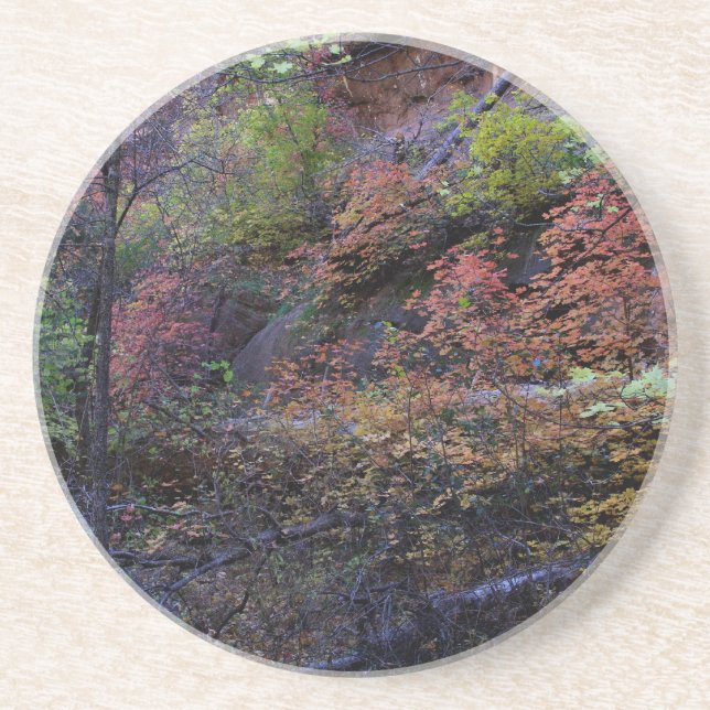 Dessous De Verre En Grès L'automne à Sedona (Devant)