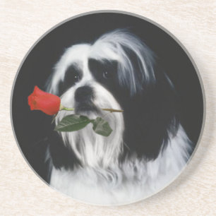 Dessous De Verre En Grès Le chien de Shih Tzu