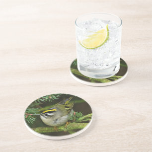 Dessous De Verre En Grès Le mignon oiseau chanteur Kinglet provoque un remu