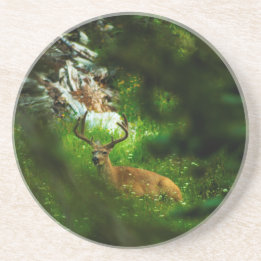 Dessous De Verre En Grès Le Prince Forêt
