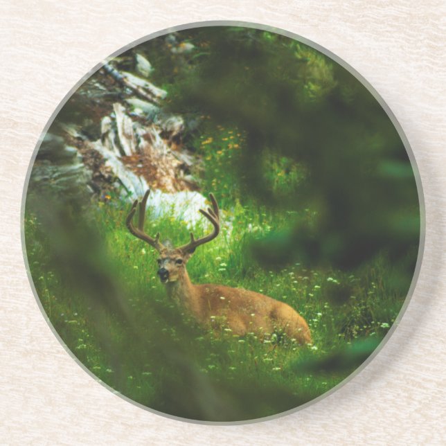 Dessous De Verre En Grès Le Prince Forêt (Devant)