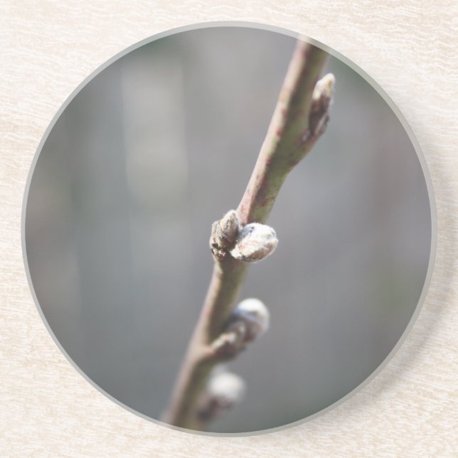 Dessous De Verre En Grès Le printemps arrive (Devant)