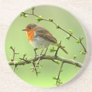 Dessous De Verre En Grès Le Robin