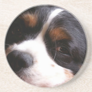 Dessous De Verre En Grès Le Roi Charles Cavalier Spaniel Coasters