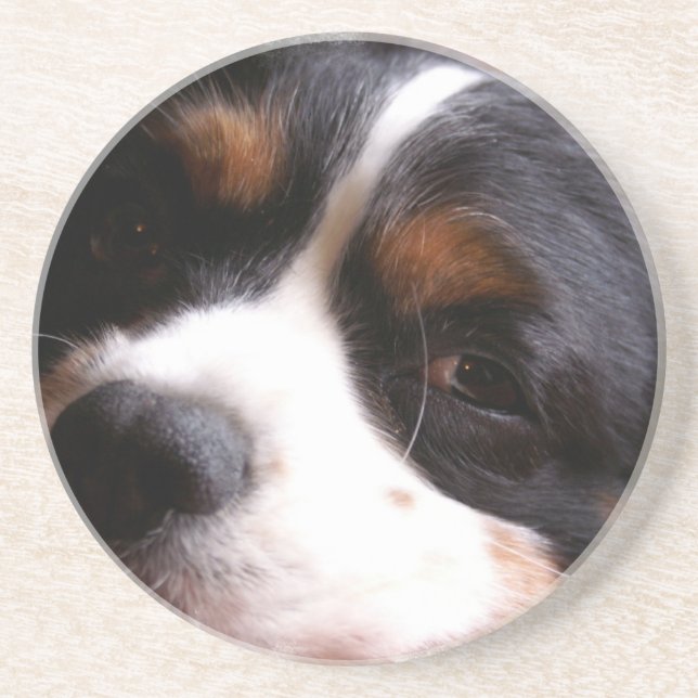 Dessous De Verre En Grès Le Roi Charles Cavalier Spaniel Coasters (Devant)